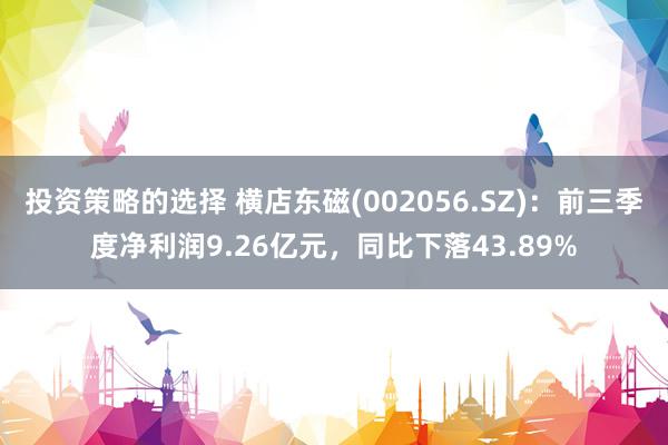 投资策略的选择 横店东磁(002056.SZ)：前三季度净利润9.26亿元，同比下落43.89%