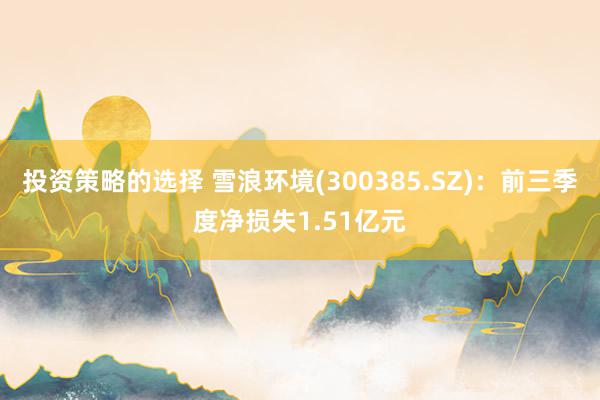 投资策略的选择 雪浪环境(300385.SZ)：前三季度净损失1.51亿元