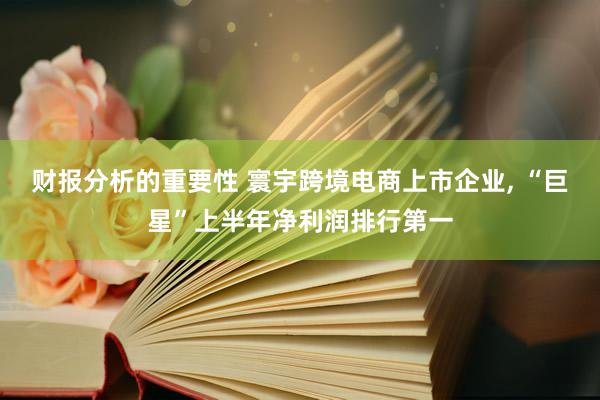 财报分析的重要性 寰宇跨境电商上市企业, “巨星”上半年净利润排行第一