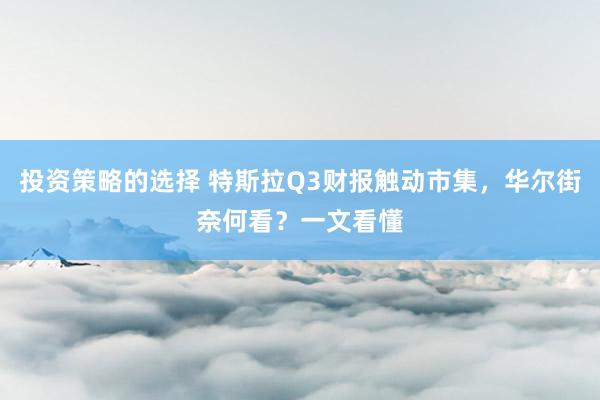 投资策略的选择 特斯拉Q3财报触动市集，华尔街奈何看？一文看懂