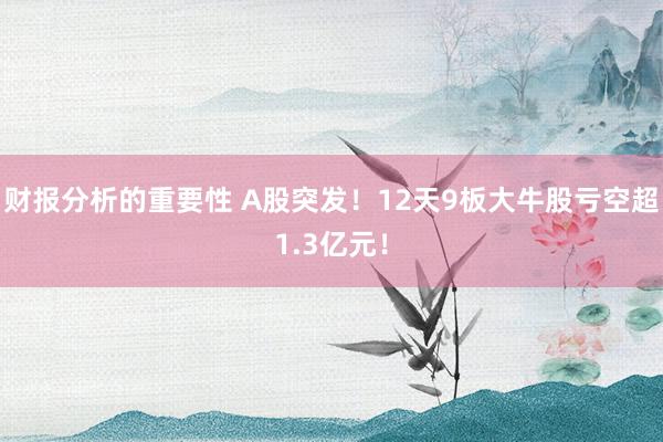 财报分析的重要性 A股突发！12天9板大牛股亏空超1.3亿元！