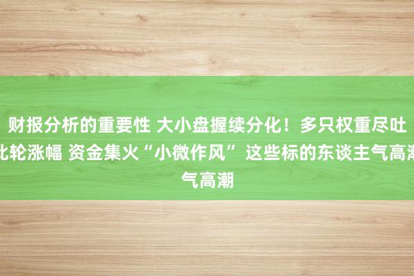 财报分析的重要性 大小盘握续分化！多只权重尽吐此轮涨幅 资金集火“小微作风” 这些标的东谈主气高潮