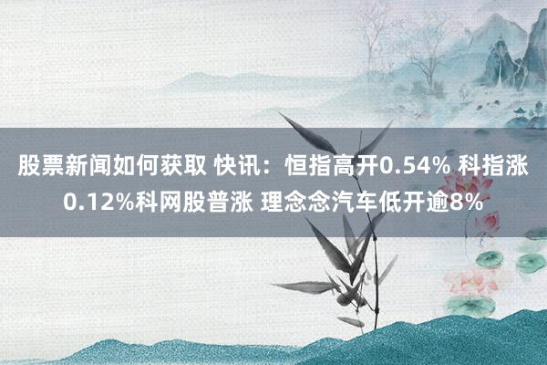 股票新闻如何获取 快讯：恒指高开0.54% 科指涨0.12%科网股普涨 理念念汽车低开逾8%