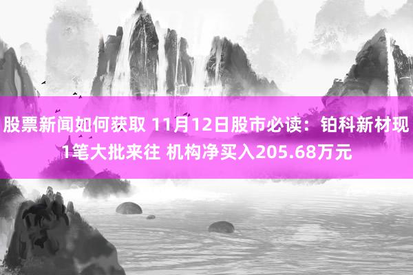 股票新闻如何获取 11月12日股市必读：铂科新材现1笔大批来往 机构净买入205.68万元