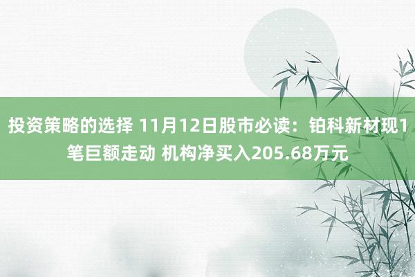 投资策略的选择 11月12日股市必读：铂科新材现1笔巨额走动 机构净买入205.68万元