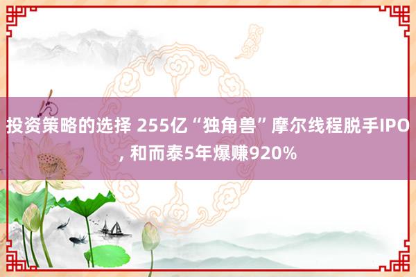 投资策略的选择 255亿“独角兽”摩尔线程脱手IPO, 和而泰5年爆赚920%