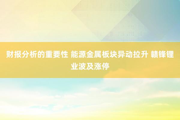 财报分析的重要性 能源金属板块异动拉升 赣锋锂业波及涨停