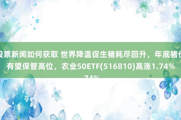 股票新闻如何获取 世界降温促生猪耗尽回升，年底猪价有望保管高位，农业50ETF(516810)高涨1.74%