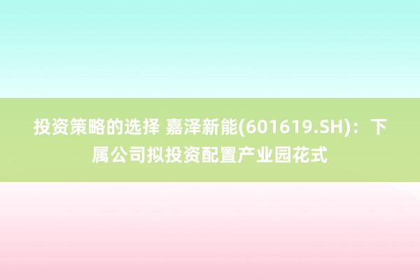 投资策略的选择 嘉泽新能(601619.SH)：下属公司拟投资配置产业园花式