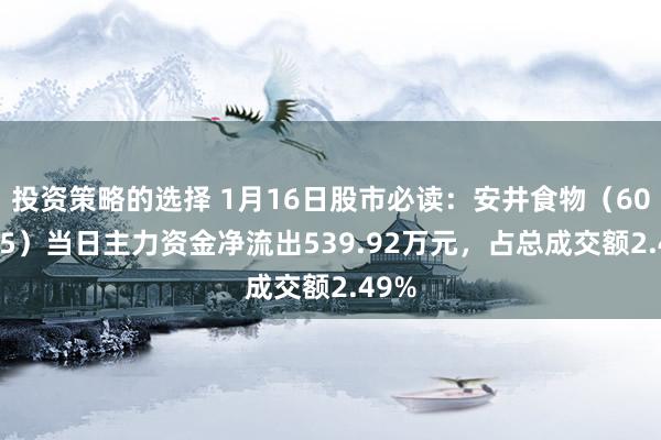 投资策略的选择 1月16日股市必读：安井食物（603345）当日主力资金净流出539.92万元，占总成交额2.49%