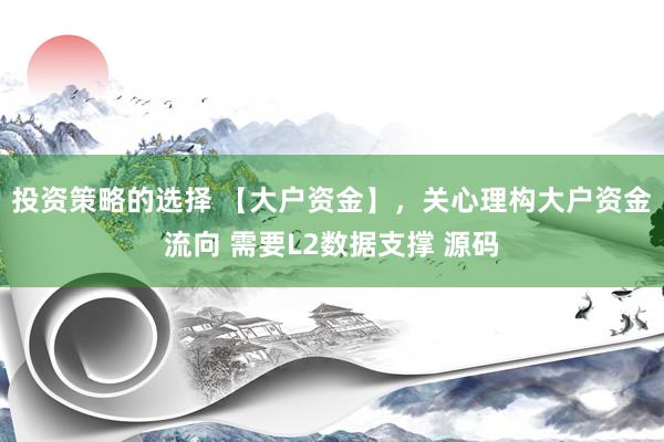 投资策略的选择 【大户资金】，关心理构大户资金流向 需要L2数据支撑 源码