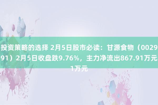 投资策略的选择 2月5日股市必读：甘源食物（002991）2月5日收盘跌9.76%，主力净流出867.91万元