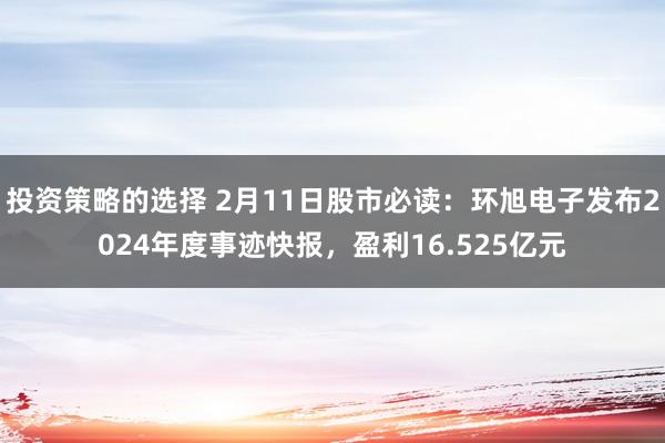 投资策略的选择 2月11日股市必读：环旭电子发布2024年度事迹快报，盈利16.525亿元